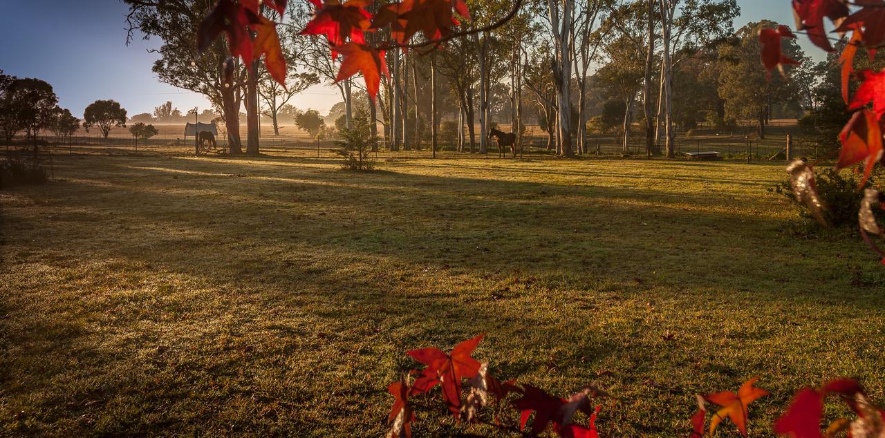 Bed and breakfast Tajmabarn Fullcircle Farm 6 Roundhill Rd Wilton Extérieur photo